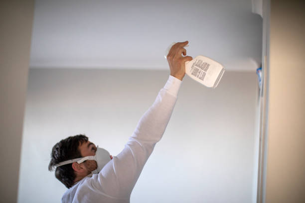Best Residential Mold Remediation in Mount Dora, FL
