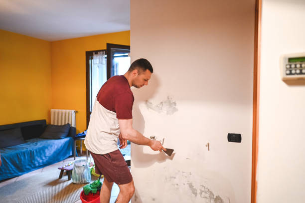 Best Residential Mold Remediation in Mount Dora, FL